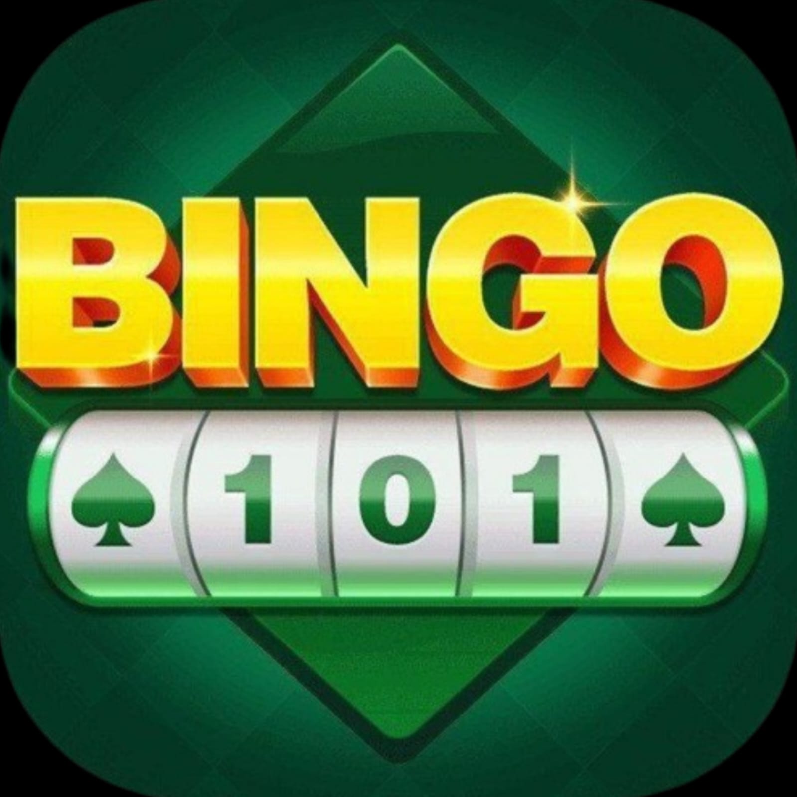 Bingo 101